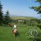 Montana2004 168