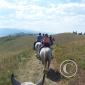 Montana2004 185