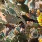 20190627_135544