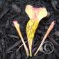 P1020231