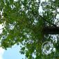 P1100089